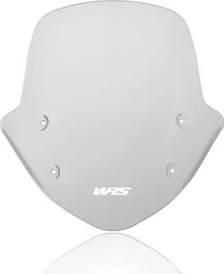 Obrázok produktu pre Wscrn Stndrd R1250R Smk