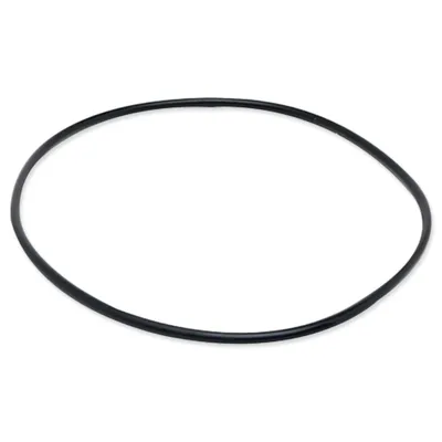 Produktbild von Fluval Dichtungsring für Fluval 304/404