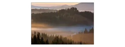 Produktbild von Muralo Fototapete Wald im Nebel 270 (B) x 180 (H) cm Vlies Tapete Wandtapeten Gebirge Bäume Wohnzimmer Schlafzimmer moderne Wandbilder XXL Landschaft Panorama Wand Dekoration