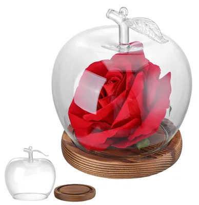 Image de Cloche en verre avec socle en bois - Couvercle décoratif pour présentations - Transparent - 16 x 13,5 cm