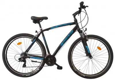 Produktbild von Dallas Bike Mountainbike Herren 29 Zoll - Shimano 21-Gang - Aluminium Rahmen XL 21" - Hardtail MTB - Schwarz
