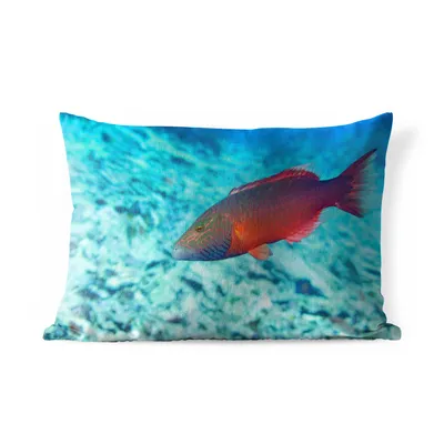 Obrázek produktu pro MuchoWow® Vnější polštář - Ryby - Tropické - Červené -50x30 cm- Odolnost proti povětrnostním vlivům - polštář do obývacího pokoje