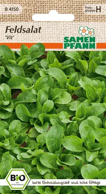 Artikelbild 1 von 'BIO Feldsalat Vit' aus der Kategorie Feldsalatsamen