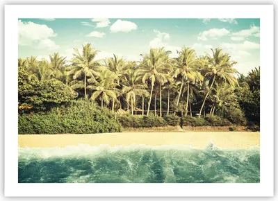 Produktbild von Poster - Poster ohne Rahmen - Natur Strand Palmen - 70x50 cm - Wand Bild - Wanddeko - Wandbilder - Kunstposter - Wandposter - Bilder - Kunstdruck - Wanddekoration - Wandbild - P2XAA70x50-4915