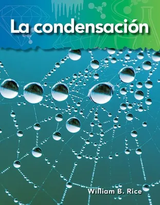 Produktbild von La Condensación