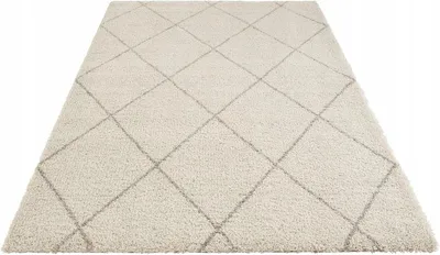 Zdjęcie produktu dla Dywan do salonu boho shaggy premium 200x290 cm