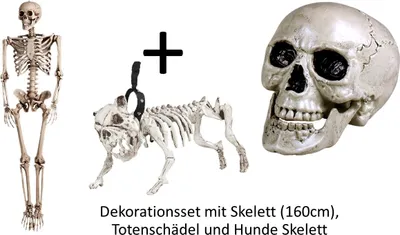 Produktbild von Großes Halloween Dekoration Set - Skelett Knochengerüst 160cm, Hundeskelett und Totenschädel