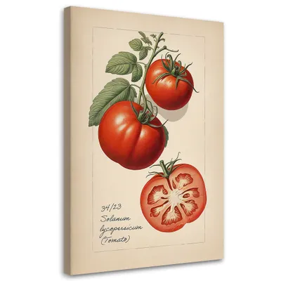 Produktbild von Leinwandbild Obst Tomate 40x60 Feeby Beige bild für die wand bereit zum aufhängen