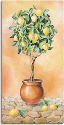 Produktbild von ARTland Leinwandbild Zitronenbaum I Größe: 75x150 cm