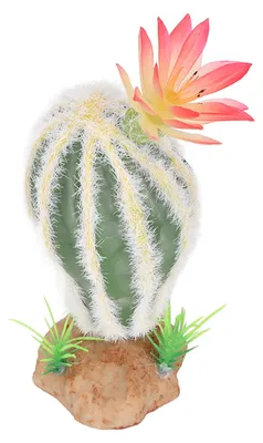 Image de Plante cactus reptilienne artificielle, simulation décorative pour aquarium, terrarium