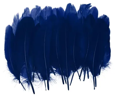 200 Gänsefedern, 10-17 cm, gemischte Farben, Bastelfedern