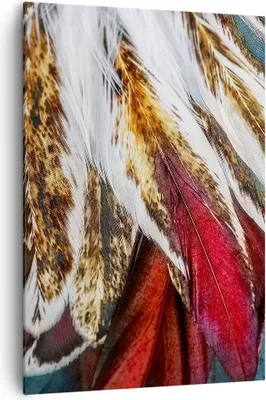 Produktbild von Bild auf Leinwand - Leinwandbild - Einteilig - Federn Federn Vogel - 70x100cm - Wand Bild - Wanddeko - Wandbilder - Leinwanddruck - Wanddekoration - Leinwand bilder - Wandbild - PA70x100-3743