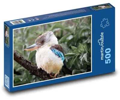 Zdjęcie produktu dla martinpuzzle - Puzzle 500 - Pták - lodowiec