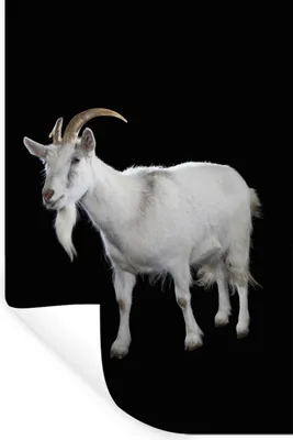 Produktbild von MuchoWow® - Sticker - Dekorfolie