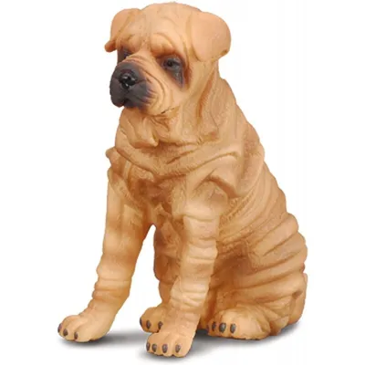 Zdjęcie produktu dla COLLECTA Shar Pei dog 88193