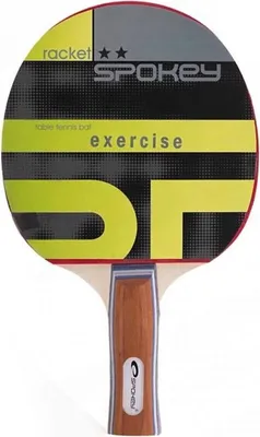 Obrázek produktu pro Raketka na stolní tenis pro začátečníky a rekreační hráče