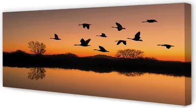 Produktbild von Leinwandbild 125x50 Wandkunst Fliegende Vögel Sonnenuntergang