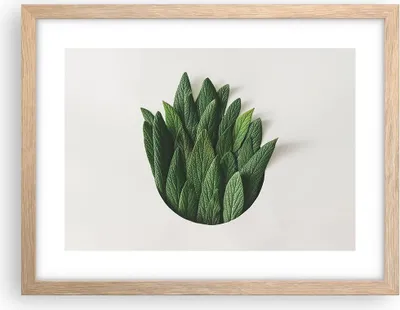 Produktbild von Gerahmtes Poster - Rahmen in heller Eiche - Salbei Medizin Blätter - 40x30 cm - Wand Bild - Wanddeko - Wandbilder - Kunstposter - Wandposter - Bilderrahmen - Bilder - Kunstdruck - P2NAA40x30-4859