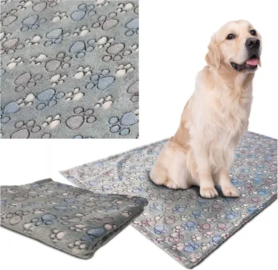Image de Couverture pour Chiens et Chats Polaire 70X50 Cm Gris