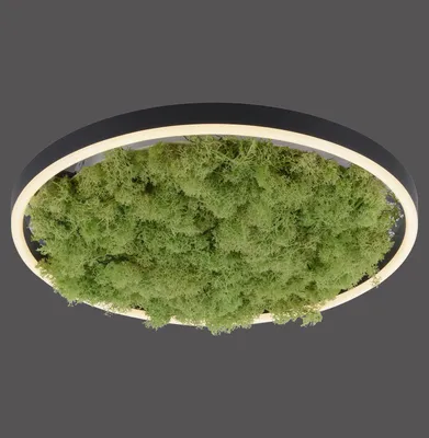 Produktbild von JUST LIGHT GERDA RITUS LED Deckenleuchte Warmweiss Dimmbar 20W moos 15391-66