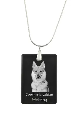 Produktbild von Tschechoslowakischer Wolfhund - Kristallanhänger mit Hund, Silberhalskette mit Foto, personalisierter Anhänger der Marke Art-Dog