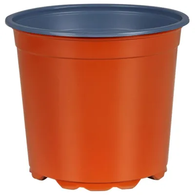 Image de Lot de 50 pots en terre cuite, diamètre 15 cm, hauteur 13 cm