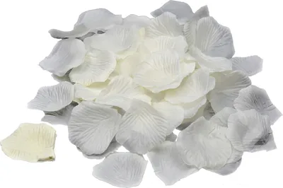 Produktbild von 100 Stück Rosenblüten 5cm, Farbe:creme / ivory 820