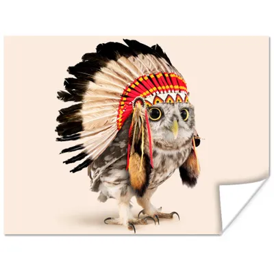 Produktbild von MuchoWow® Poster Eule - Indianer - Federn - Tiere 120x90 cm - Wandbild
