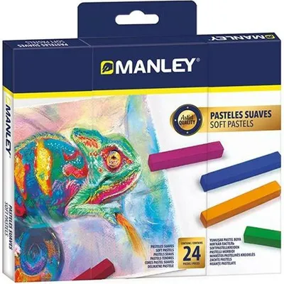 Image de Gâteaux multicolores Manley 24 pièces