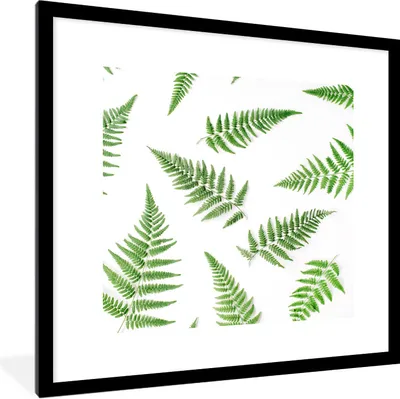 Produktbild von MuchoWow® Gerahmtes Poster Grün - Tropisch - Farn 40x40 cm - Poster mit Schwarzem Bilderrahmen Wandposter Rahmen Foto Bilder - Poster - Plakat im Rahmen