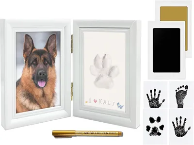 Productafbeelding van Set van 3 gipsafdrukken van pootafdrukken, geschikt voor honden, katten en baby's, inclusief frame, om herinneringen te n
