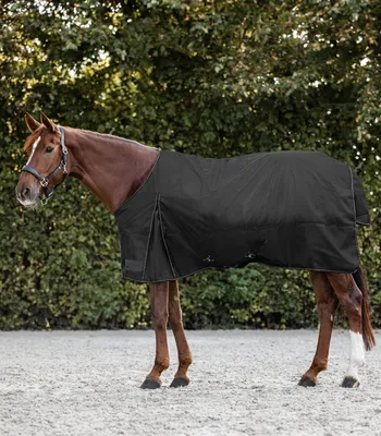 Produktbild von Waldhausen NORDIC Outdoordecke schwarz, Fleece, 600 Denier, Regendecke, Farbe:schwarz, Größe:145 cm
