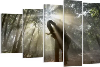 Produktbild von Bild auf Leinwand - Leinwandbild - Elefant Dschungel  - 150x100cm - Wand Bild - Wanddeko - Leinwanddruck - Bilder - Kunstdruck - Wanddekoration - Leinwand bilder - Wandkunst - EG150x100-3835