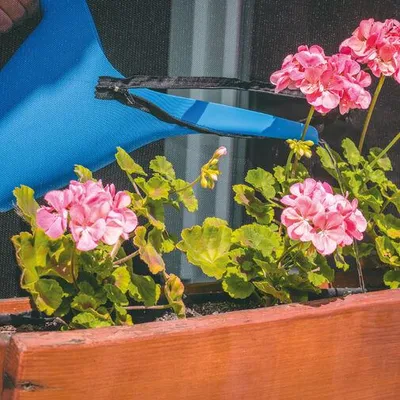 Imagen del producto de Malla autoadhesiva anti-mosquitos con cremallera