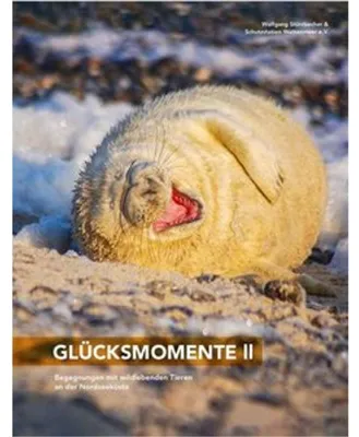 Obrázek produktu pro Glücksmomente II