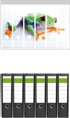 Produktbild von Wallario 6 Stück breite Ordner inkl. Klebeetiketten mit Motive Lustiger Frosch in grün und orange -  Set mit Rückenschildern / Ordnerrücken Stickern