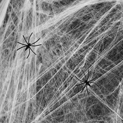 Produktbild von Fiestas Guirca Spinnennetz mit Spinnen Halloween Deko 20g