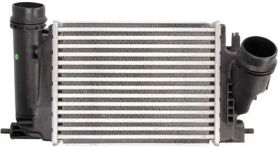 Produktbild von THERMOTEC DA1005TT Ladeluftkühler LLK für NISSAN Qashqai II (J11, J11) Turbo Intercooler