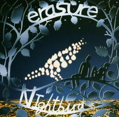 Obrázek produktu pro Erasure: Nightbird