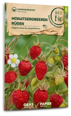 Artikelbild 2 von 'BIO Monatserdbeeren Rügen' aus der Kategorie Erdbeersamen