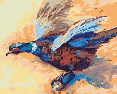 Obrázok produktu pre Zuty - Maľovanie podľa čísel - FAREBNÝ BAŽANT, 40x50 cm, vypnuté plátno na rám