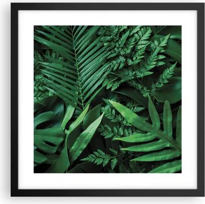 Produktbild von Gerahmtes Poster - Schwarzer Rahmen - Exotisch Blätter Monstera - 40x40 cm - Wand Bild - Wanddeko - Wandbilder - Kunstposter - Wandposter - Bilderrahmen - Bilder - Kunstdruck - P2BAC40x40-4746