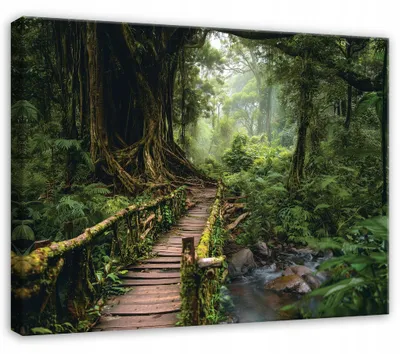 Produktbild von Leinwandbild Wald Bäume Natur - 100x70 cm - Wandbilder Wohnzimmer Schlafzimmer - Leinwand Leinwandbild Grün - PP15752O1