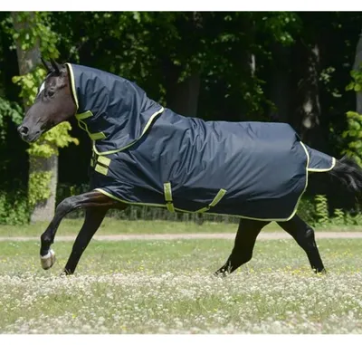 Produktbild von Bucas Outdoordecke 100g mit Halsteil Oasis Turnout Weidedecke Grey/Lime 115