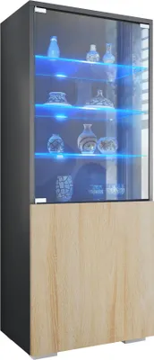 Produktbild von Vladon Vitrine Granada, Germany, Vitrinenschrank mit Glastür und Glaseinsatz inkl. LED, Anthrazit matt/Eiche sägerau (50 x 122,5 x 34,5 cm)