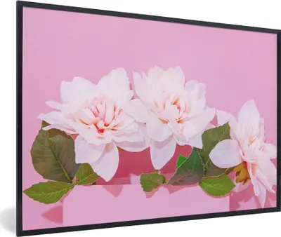 Produktbild von MuchoWow® Gerahmtes Poster Blüte - Sommer - Rosa 30x20 cm - Poster mit Schwarzem Bilderrahmen Wandposter Rahmen Foto Bilder - Kunstdruck - Bild-Poster