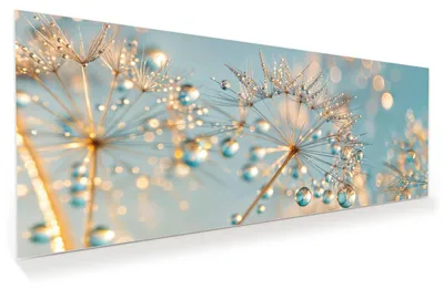 Produktbild von Glasbild 125x50cm in XXL für Wohnzimmer, Schlafzimmer Motiv Pusteblume Wassertropfen