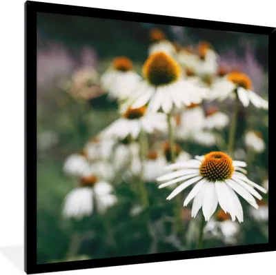 Produktbild von MuchoWow® Gerahmtes Poster Blumen - Herbst - Botanisch 40x40 cm - Poster mit Schwarzem Bilderrahmen Wandposter Rahmen Foto Bilder - Mit Rahmen - Wanddekoration Schlafzimmer