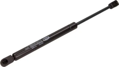 Image de Ressort pneumatique, capot moteur