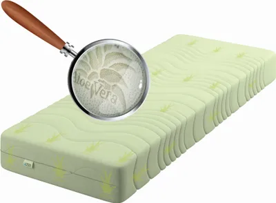 A mattress with an aloe vera pattern, viewed through a magnifying glass.